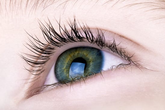 Eye twitch has many different causes - The Vision Gallery